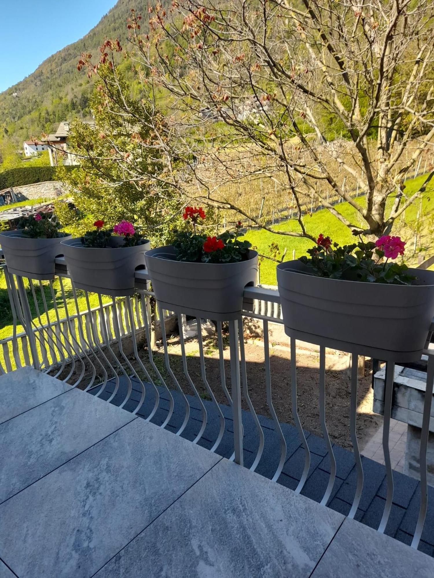 La Casetta Di Campagna Mazzo di Valtellina 外观 照片